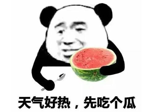 吃瓜表情有什么含义吗,揭秘网络社交中的趣味与内涵